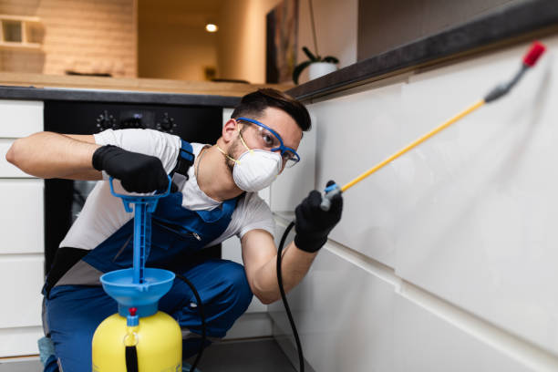 Best Pest Inspection Near Me  in Prairie Du Chien, WI