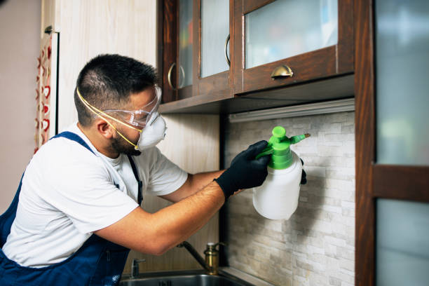 Best Emergency Pest Control  in Prairie Du Chien, WI