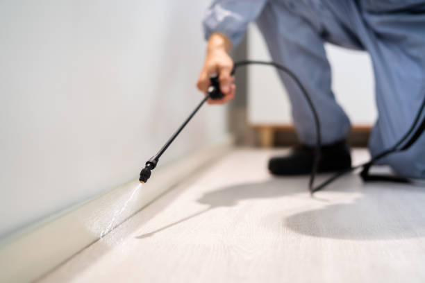Best Termite Control Services  in Prairie Du Chien, WI