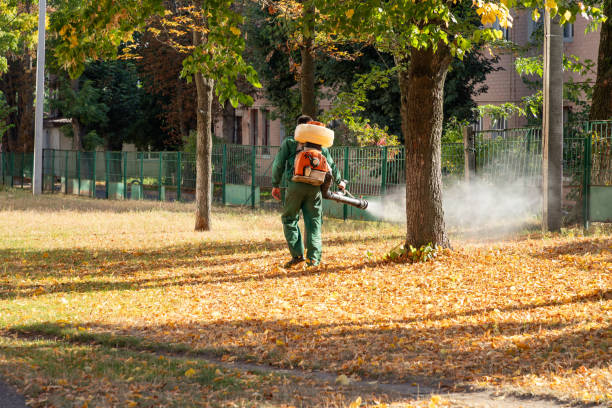 Best Ant Control Services  in Prairie Du Chien, WI