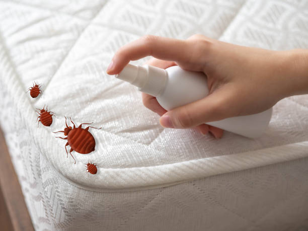 Best Pest Control Near Me in Prairie Du Chien, WI