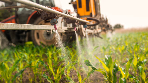 Pest Prevention Services in Prairie Du Chien, WI