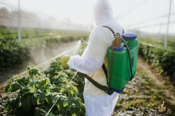 Best Pest Removal Services  in Prairie Du Chien, WI